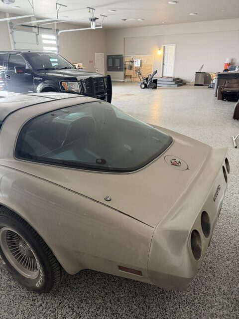 image2 (2)